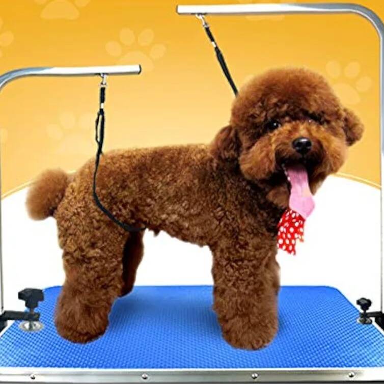 بند محافظ رنگانگ نایلونی